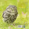 NATUURFOTOGRAFIE VOOR UILSKUIKENS