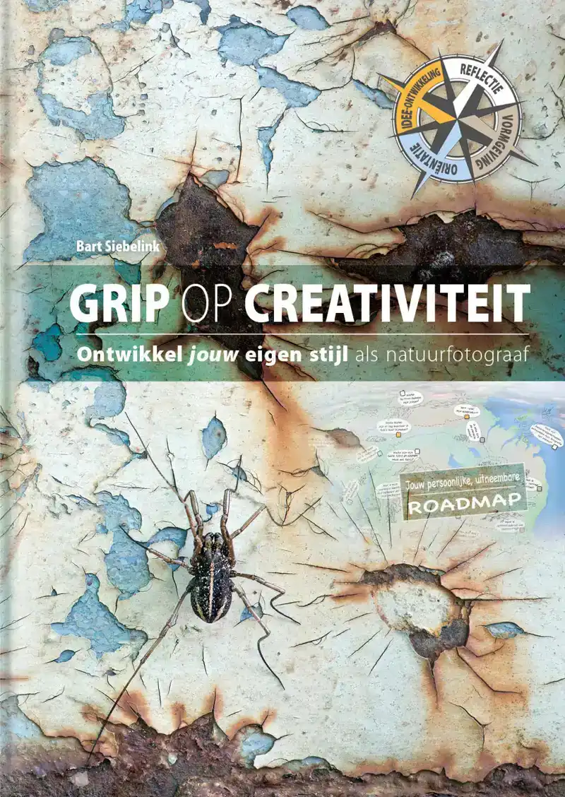 GRIP OP CREATIVITEIT