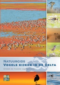 NATUURGIDS VOGELS KIJKEN IN DE DELTA