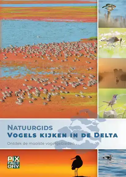 NATUURGIDS VOGELS KIJKEN IN DE DELTA