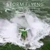 STORM FLYING