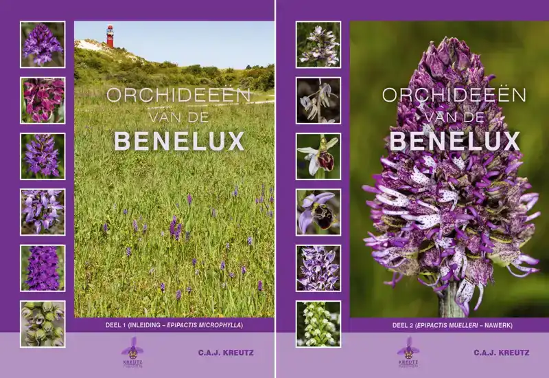 ORCHIDEEEN VAN DE BENELUX