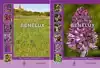 ORCHIDEEEN VAN DE BENELUX