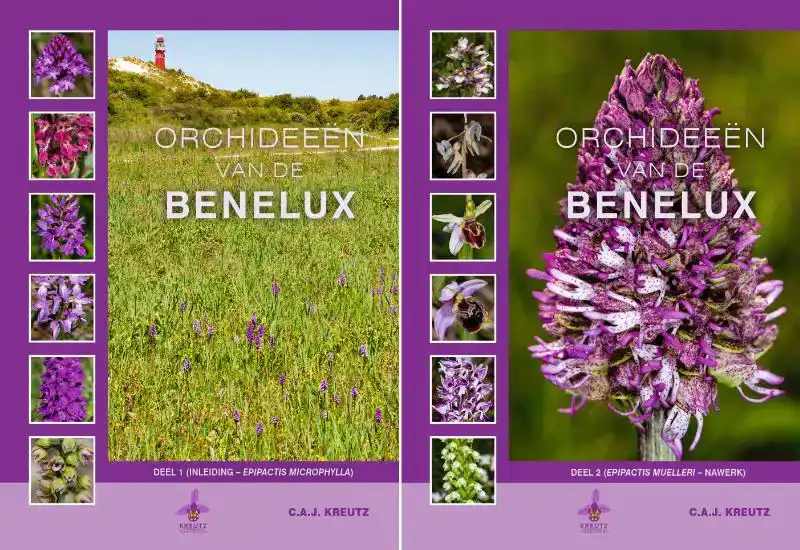 ORCHIDEEEN VAN DE BENELUX