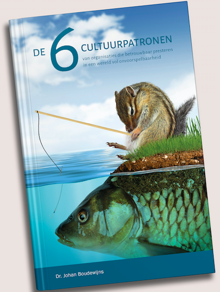 DE 6 CULTUURPATRONEN