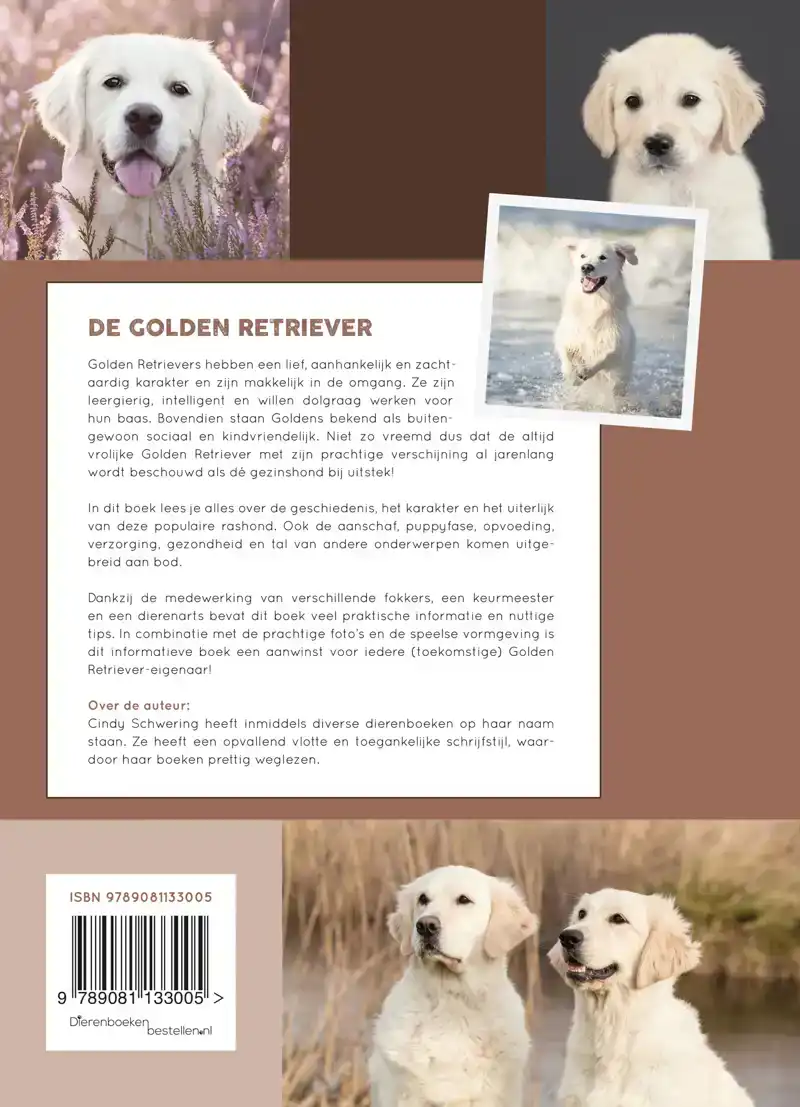 DE GOLDEN RETRIEVER