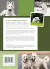 DE ZWITSERSE WITTE HERDER