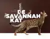 DE SAVANNAH KAT