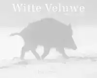 WITTE VELUWE