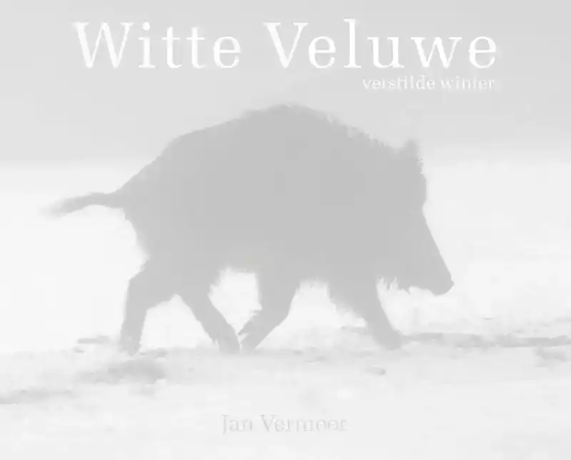 WITTE VELUWE