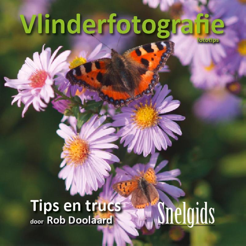 VLINDERFOTOGRAFIE