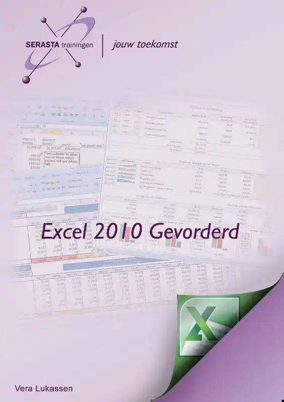 EXCEL 2010