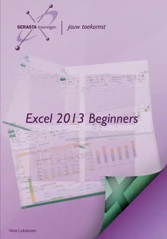 EXCEL 2013