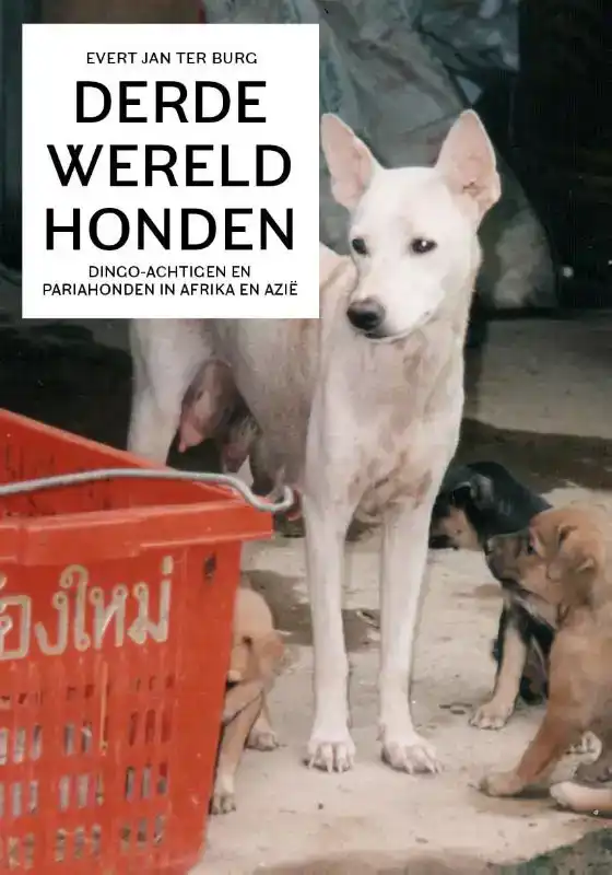 DERDEWERELDHONDEN