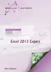 EXCEL 2013 EXPERT