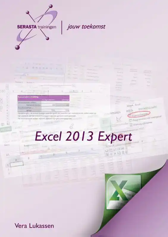 EXCEL 2013 EXPERT