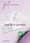 EXCEL 2013