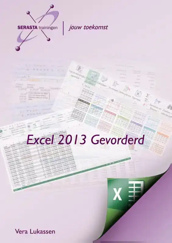 EXCEL 2013