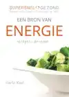 EEN BRON VAN ENERGIE