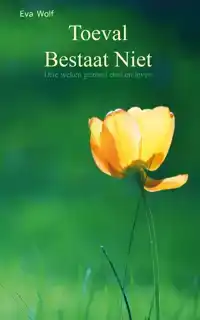 TOEVAL BESTAAT NIET