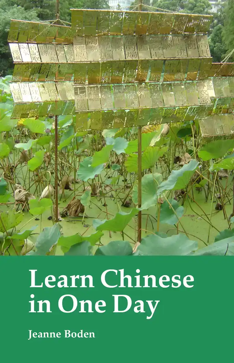 LEARN CHINESE IN ONE DAY