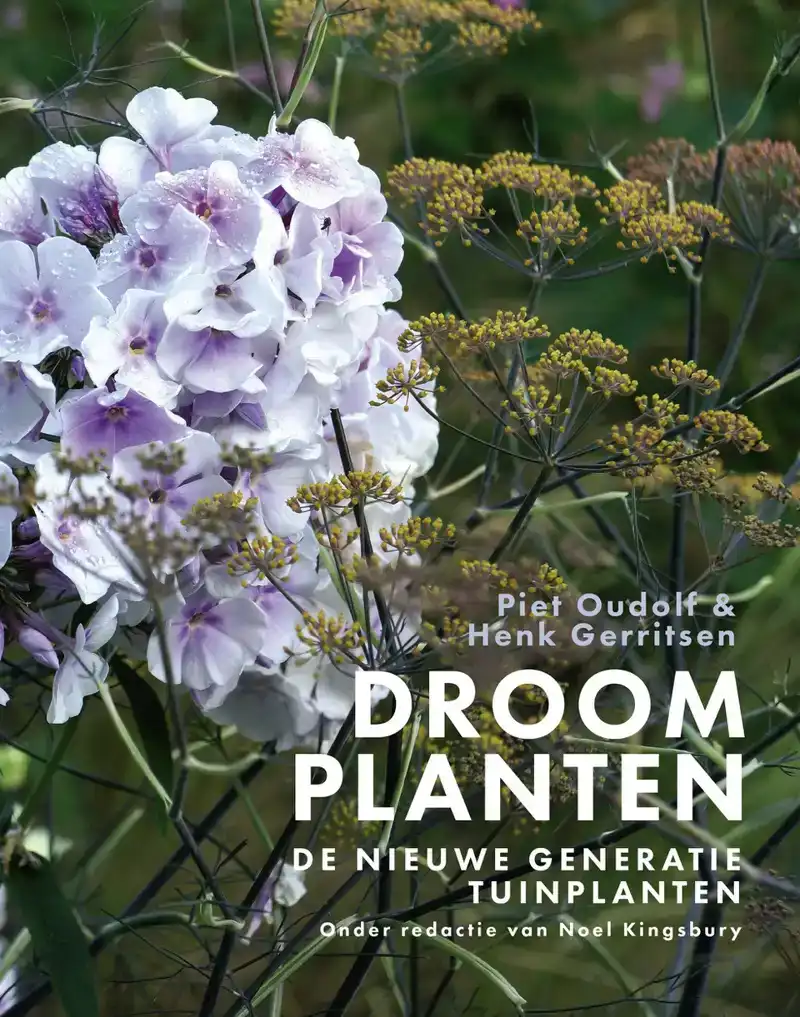 DROOMPLANTEN