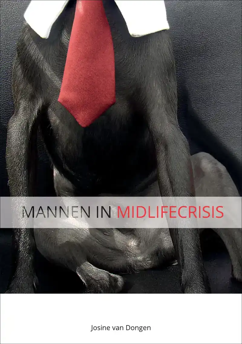 MANNEN IN MIDLIFECRISIS