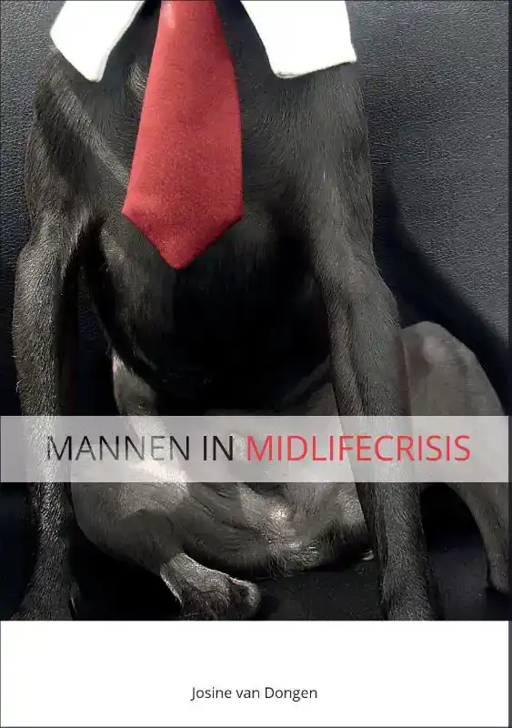 MANNEN IN MIDLIFECRISIS