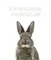 JOUW KONIJN, JOUW GELUK