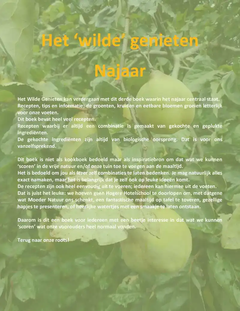 HET WILDE GENIETEN - NAJAAR