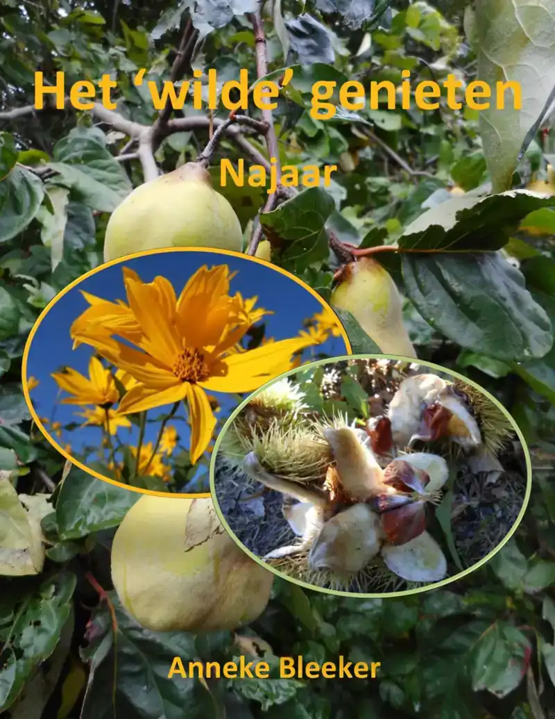 HET WILDE GENIETEN - NAJAAR