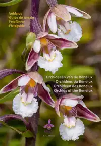 ORCHIDEEEN VAN DE BENELUX
