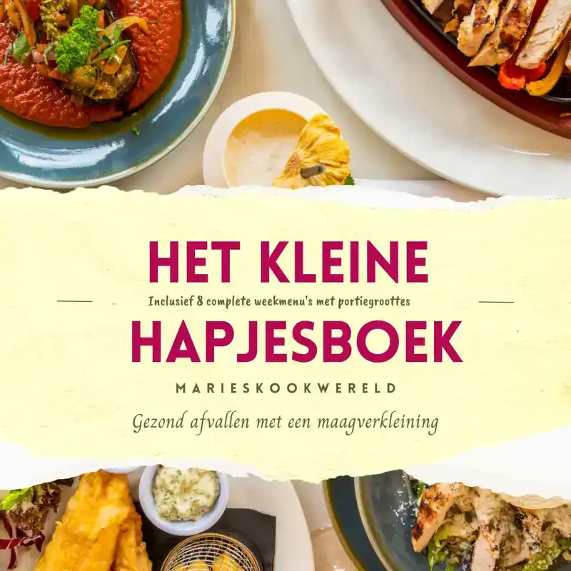 HET KLEINE HAPJESBOEK NA JE MAAGVERKLEINING