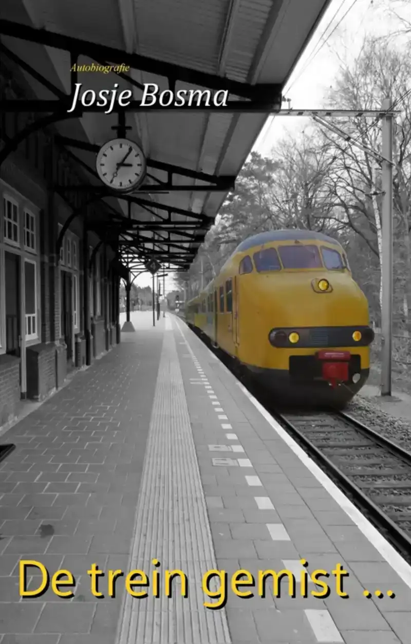 DE TREIN GEMIST ...