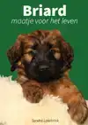 BRIARD