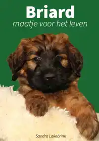 BRIARD
