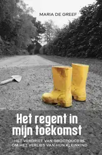 HET REGENT IN MIJN TOEKOMST