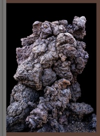 IMAGINARY ECOLOGIES