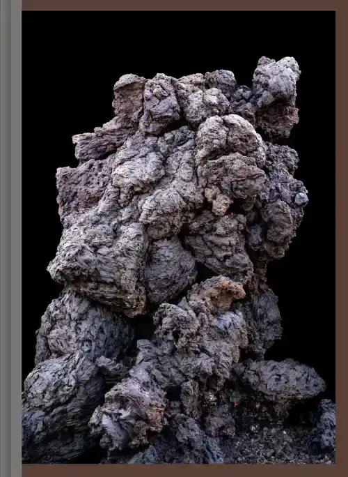 IMAGINARY ECOLOGIES