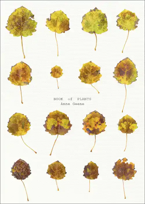 BOOK OF PLANTS