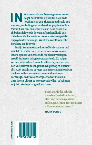 EEN AANGENAAM ZWAAR HOOFD