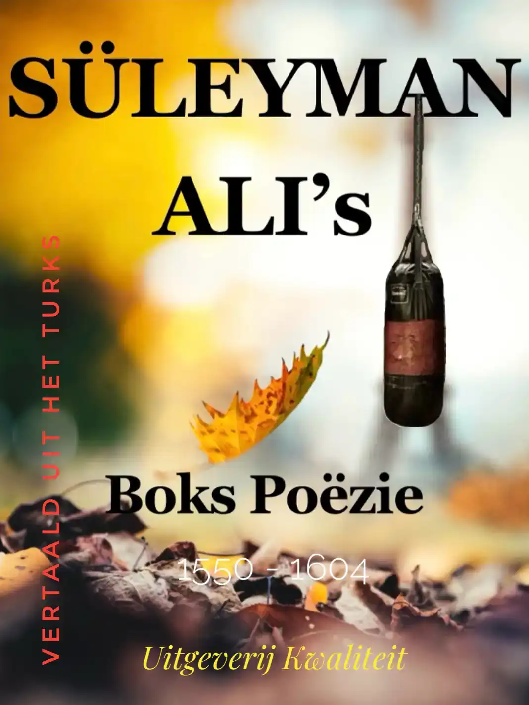 SULEYMAN ALI'S - BOKS POEZIE (1550 - 1604)