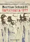 BERTUS SCHMIDT