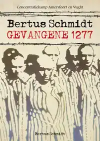 BERTUS SCHMIDT