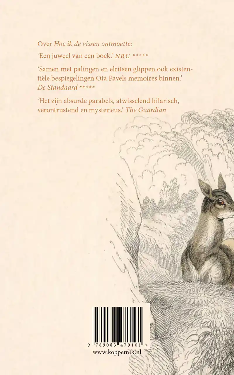 HOE EEN REEBOK ONS LEVEN REDDE