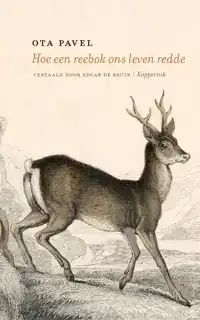 HOE EEN REEBOK ONS LEVEN REDDE