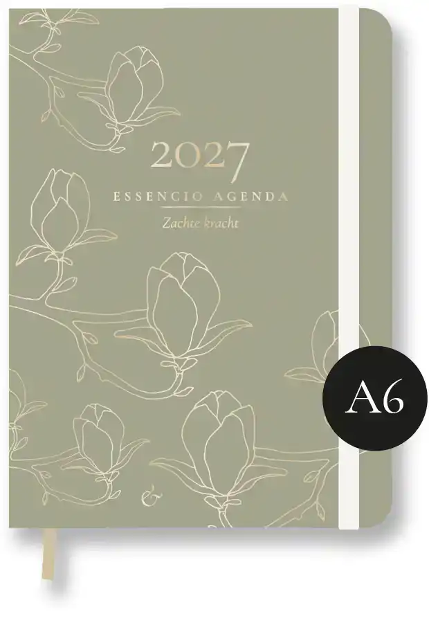 ESSENCIO AGENDA 2027 KLEIN (A6)