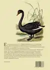 VREEMDE VOGELS & ZWARTE ZWANEN