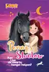 PENNY'S SHADOW