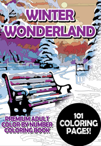 WINTER WONDERLAND - PREMIUM ADULT COLOR BY NUMBER COLORING B